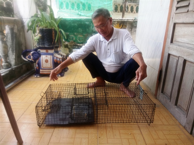 Nuôi trăn thương phẩm lãi 100 triệu đồng/năm