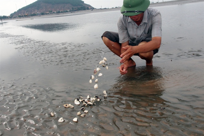 Nghề 'ăn sóng nằm gió' với nỗi lo canh cánh