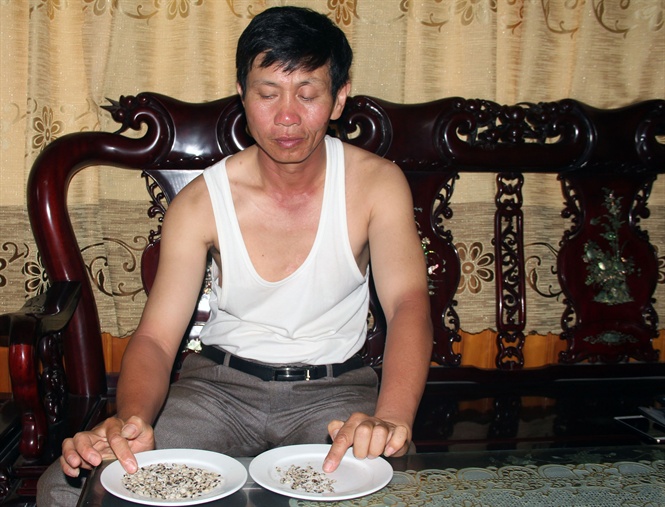 Nghề 'ăn sóng nằm gió' với nỗi lo canh cánh