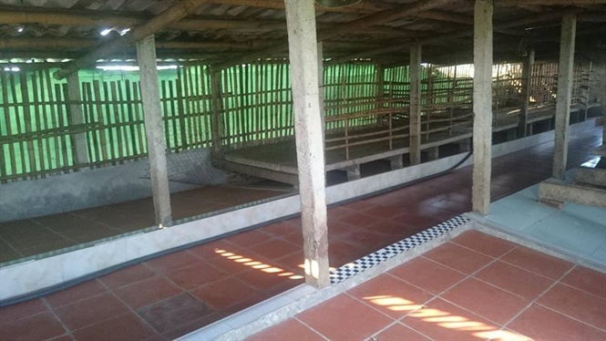 Nuôi dê sạch thu lãi hàng trăm triệu mỗi năm