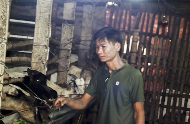 Nuôi dê sạch thu lãi hàng trăm triệu mỗi năm