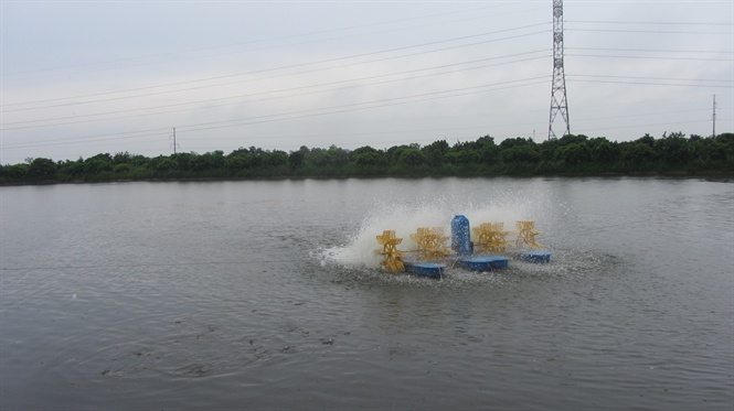 Liên kết theo mô hình HTX nuôi cá VietGAP, doanh thu 11 tỷ đồng/năm