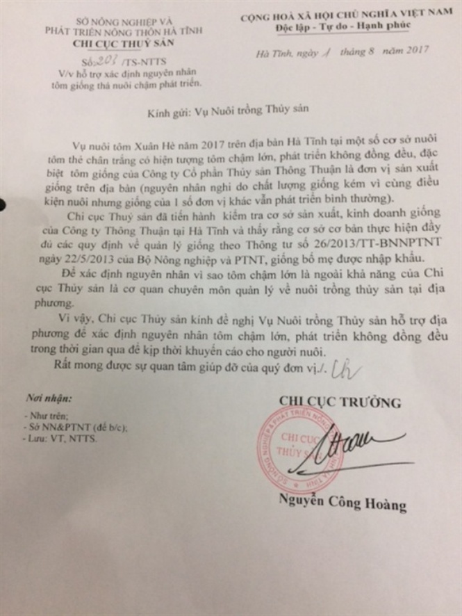 Tôm giống có vấn đề, người nuôi thiệt hại, vẫn chưa 'truy' ra ai chịu trách nhiệm?