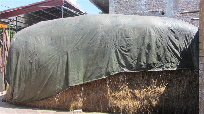 Có thu nhập cao nhờ sớm chuyển từ lợn sang nuôi bò BBB