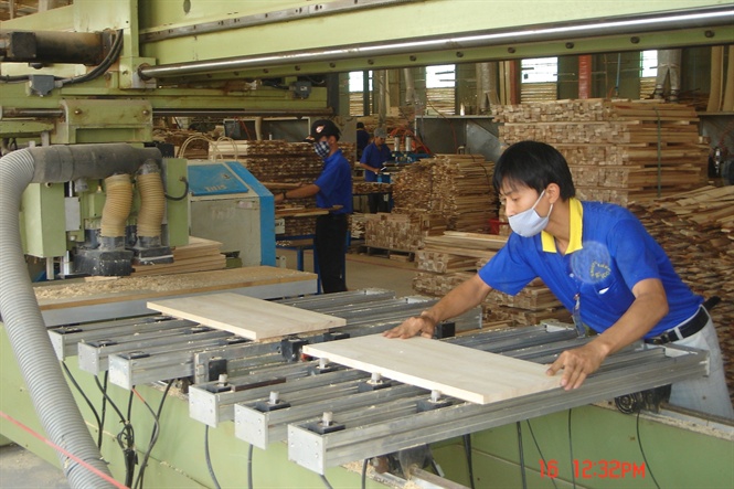 Sốt thị trường gỗ cao su thanh lý