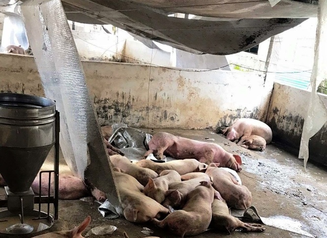 3.100ha thủy sản của Hà Tĩnh mất trắng do bão