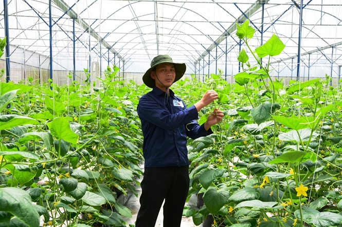 Trang trại 'triệu đô' của chàng sinh viên bỏ học làm nông nghiệp công nghệ cao