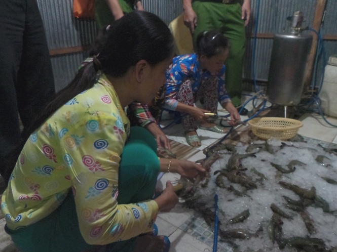 Mánh khóe bơm nước vào tôm