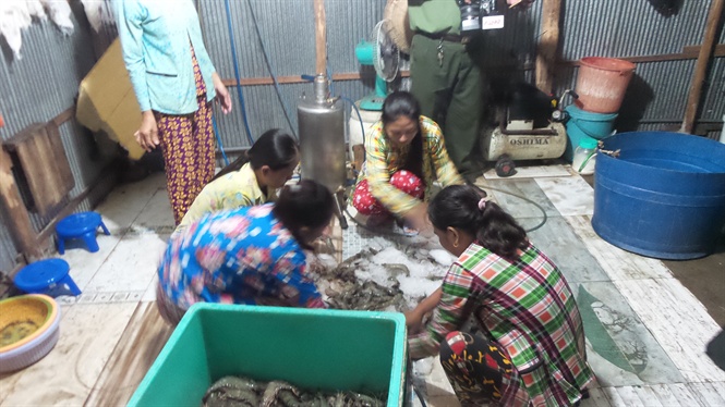 Mánh khóe bơm nước vào tôm