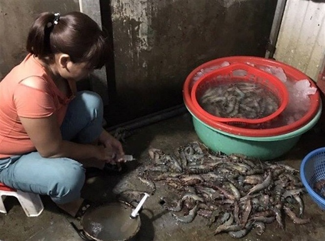 Chế tài xử phạt hành vi bơm tạp chất