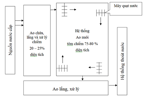 Quy trình nuôi tôm nước lợ an toàn trong vùng dịch bệnh