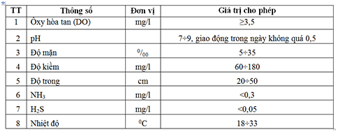 Quy trình nuôi tôm nước lợ an toàn trong vùng dịch bệnh