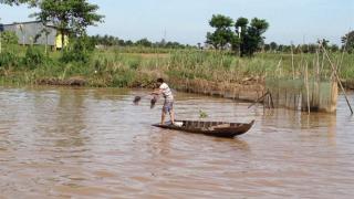 Nhộn nhịp đánh bắt thủy sản mùa nước nổi Đồng Tháp Mười