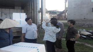 Thành quả và bài học kinh nghiệm quản lý chất lượng tôm giống