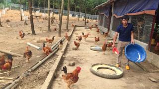 Bỏ phố lên bản Mông cùng bố làm trang trại tổng hợp