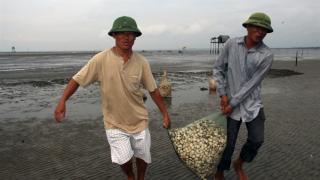 Nghề 'ăn sóng nằm gió' với nỗi lo canh cánh