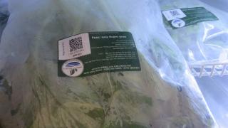 Khai trương Chuỗi cửa hàng rau VietGAP đầu tiên tại Bình Thuận