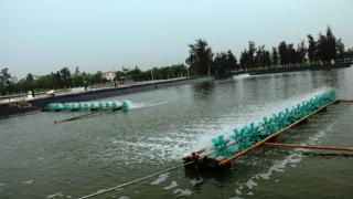 Mô hình nuôi tôm thẻ chân trắng làm giàu tại xã Thạch Đỉnh