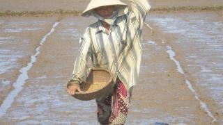 Lợi và hại khi sạ dày