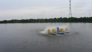 Mô hình nuôi lồng ghép thuỷ đặc sản, thu ngót 1 tỷ đồng/năm