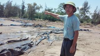 Thanh Hóa: Nuôi trồng thủy sản thiệt hại trên 300 tỷ