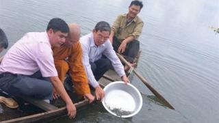 Đăk Lăk: Thả hàng ngàn cá giống tái tạo nguồn lợi thủy sản