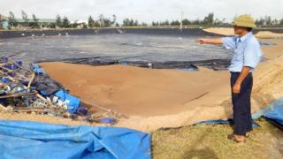 3.100ha thủy sản của Hà Tĩnh mất trắng do bão