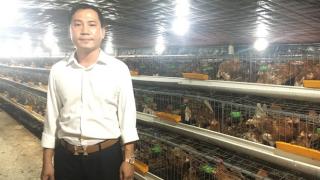 Trang trại gà đẻ hơn 330.000 con 'xịn' nhất Tiền Giang