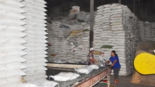 Xuất khẩu gạo tăng, triển vọng mở thị trường mới