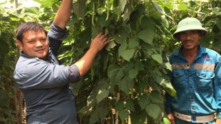 Những 'siêu' nông dân Việt Nam: Chỉ trồng củ cải, cà rốt, nuôi gà… kiếm vài trăm tỷ đồng ngon ơ