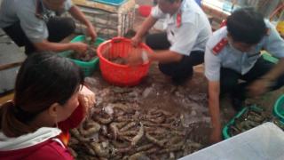 Mánh khóe bơm nước vào tôm