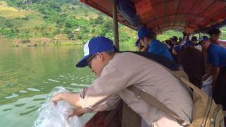 Thả 35 nghìn con cá giống xuống hồ thủy điện Cốc Ly