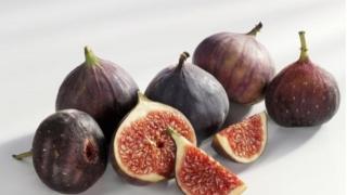 Kỹ thuật trồng cây sung Mỹ cho quả sai trĩu cành, thơm ngon khó cưỡng