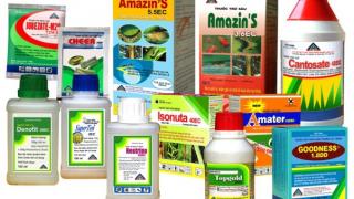 Hỏi về thuốc trừ cỏ phù hợp cho đậu tương?