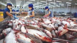Cá tra chế biến quyết giữ thị trường nội địa