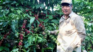 Mô hình trang trại V.A.C (vườn – ao chuồng) Kiếm 1 tỉ/năm ở Lâm Đồng