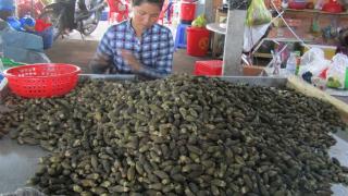 Kiếm lời 100 ngàn đồng/kg cau khô