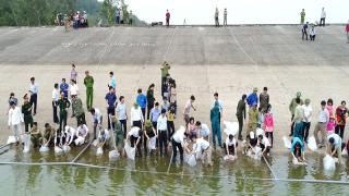 Thả trên 1 triệu con cá ra tự nhiên