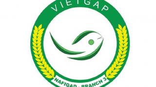 VietGAP là Gì? Tìm Hiểu chi tiết về quy trình VietGAP